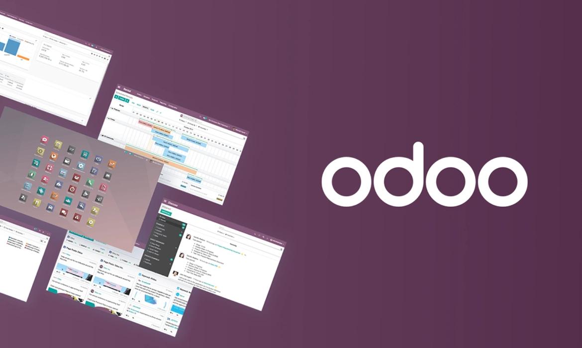 Placeholder de dashboard empresarial tipo Odoo